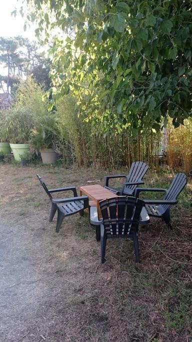 400M De La Plage Maison 3 Chambres Avec Jardin Сен-Жорж-де-Дідонн Екстер'єр фото