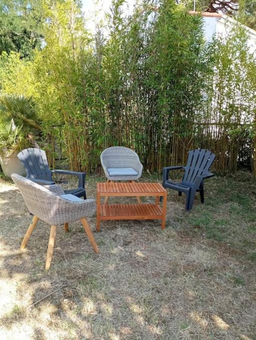 400M De La Plage Maison 3 Chambres Avec Jardin Сен-Жорж-де-Дідонн Екстер'єр фото